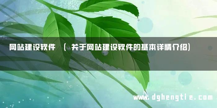 网站建设软件 (关于网站建设软件的基本详情介绍)